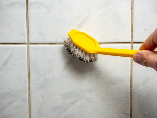 Best Best Mold Removal Companies  in Nutter Fort, WV