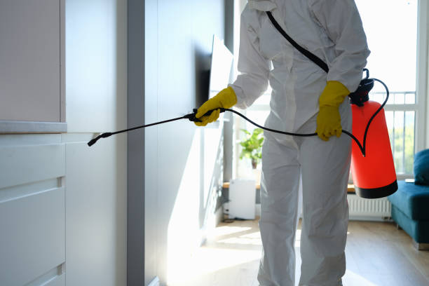 Nutter Fort, WV Mold Removal Company