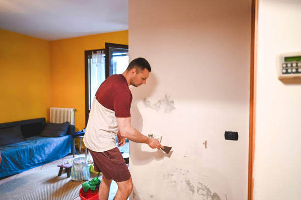 Best Professional Mold Removal  in Nutter Fort, WV